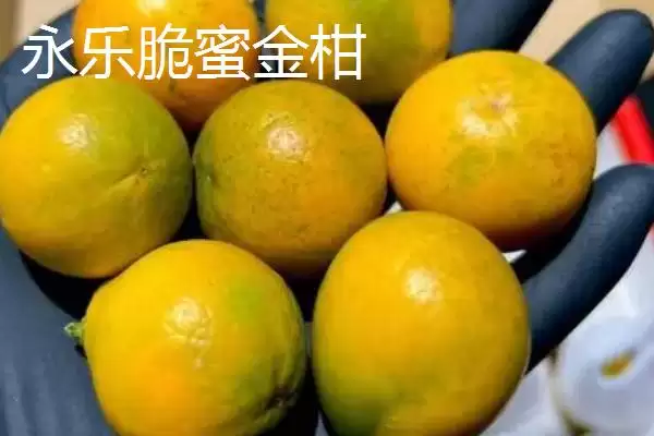 图片[3]-柳州市融水苗族自治县的特产 ,融水有哪些特色的特产种类？-会东网