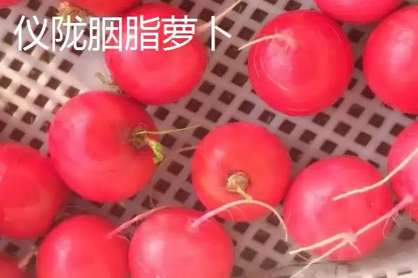 图片[2]-四川仪陇县的特产？认识四川仪陇县特产要探究哪些特色产品详情？-会东网
