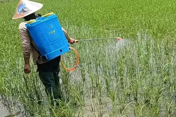 图片[4]-了解宇花灵2号药效的方法和重点？了解宇花灵2号药效要做好哪些细节？-会东网