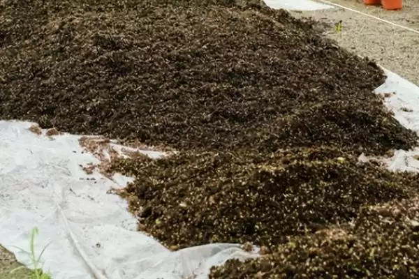 图片[10]-栽种多肉植物的方法和重点？栽种多肉植物要做好哪些细节？-会东网