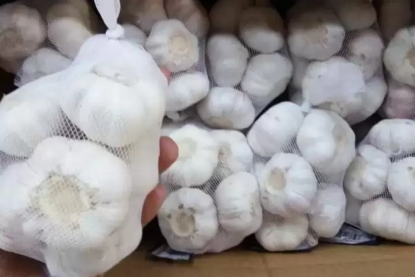 图片[3]-利用大蒜自制农药的方法 ,用大蒜自制农药有哪 4 种方法？-会东网