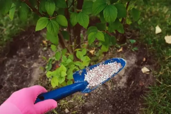 图片[5]-尿素与除草剂的“爱恨情仇”：只能和部分药物混用的原因-会东网