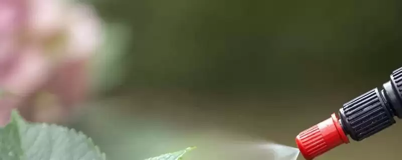 氯氰菊酯适合在什么时候打 ,氯氰菊酯防治不同虫害何时打-会东网