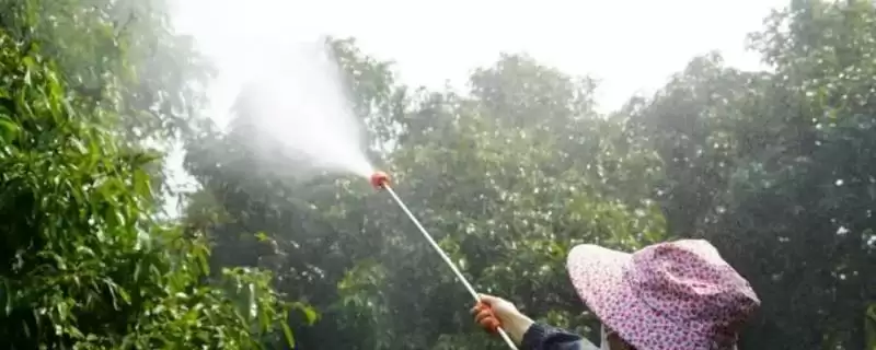 荔枝种植的常用农药 ,荔枝种植不同农药有何针对性？-会东网