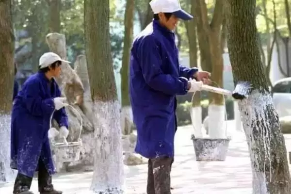 图片[6]-树干被虫蛀了如何处理？处理树干被虫蛀问题要采取哪些有效的防治措施？-会东网
