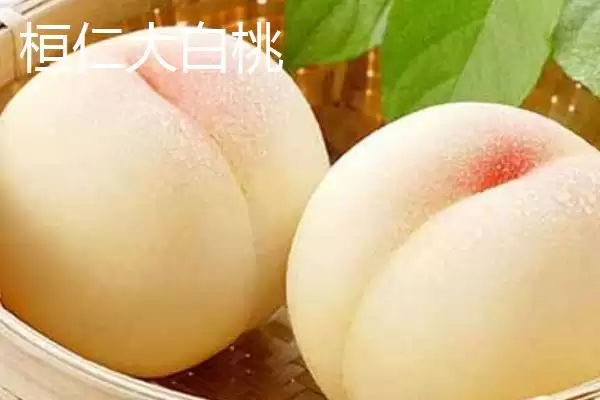 图片[4]-辽宁省桓仁满族自治县的特产 ,桓仁有哪些知名的特产种类呢？-会东网