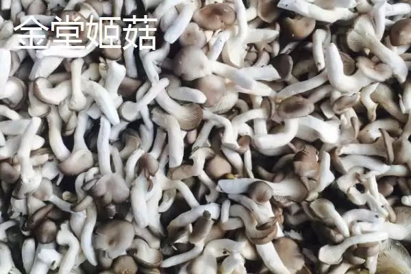 图片[7]-四川省金堂县的特产？认识四川省金堂县特产要了解哪些当地特色产品要点？-会东网