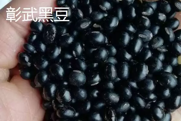 图片[12]-辽宁省桓仁满族自治县的特产 ,桓仁有哪些知名的特产种类呢？-会东网