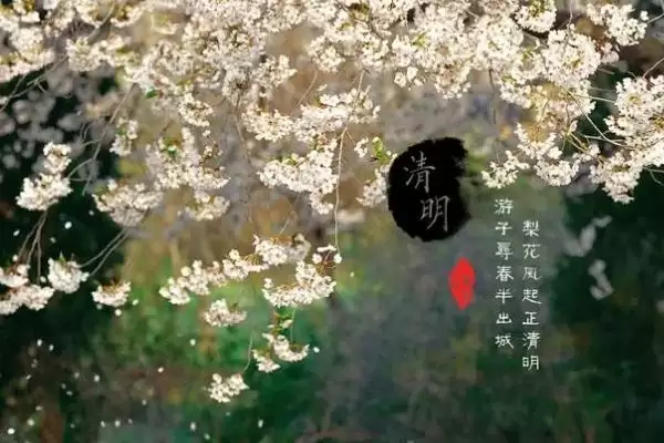 图片[6]-清明节风俗大观：各地不同风俗的文化内涵-会东网