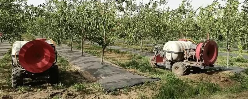 如何正确施用果园苗圃除草剂?在果园苗圃施用除草剂要注意什么?-会东网