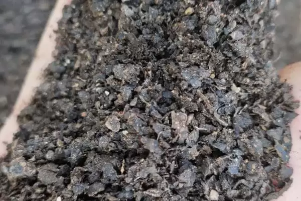 图片[7]-栽种多肉植物的方法和重点？栽种多肉植物要做好哪些细节？-会东网