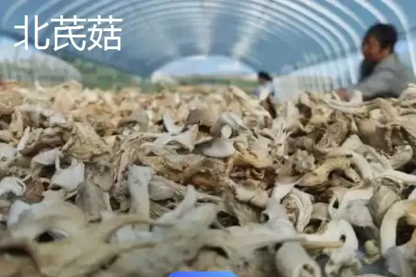 图片[4]-山西省浑源县的特产？认识山西省浑源县特产要探究哪些特色物产？-会东网