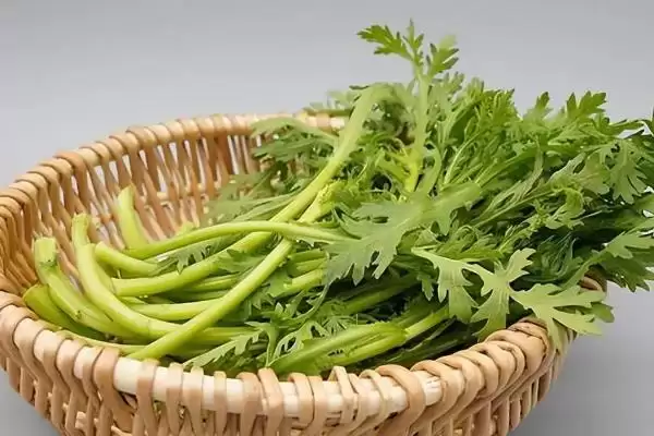 图片[9]-种植前景广阔的作物：蓝宝石葡萄、白草莓、秋葵的市场潜力-会东网