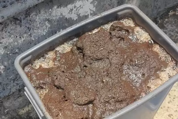 图片[4]-种植菱角的方法和重点？种植菱角要做好哪些细节？-会东网