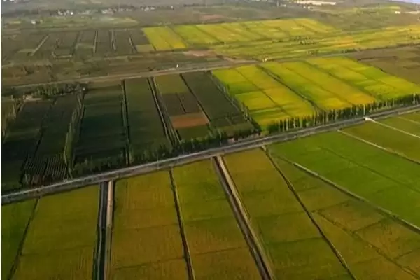 图片[4]-绿洲农业和河谷农业有何区别 ,绿洲与河谷农业位置水源何异-会东网