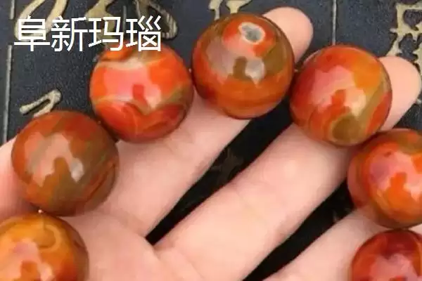 图片[8]-辽宁省桓仁满族自治县的特产 ,桓仁有哪些知名的特产种类呢？-会东网