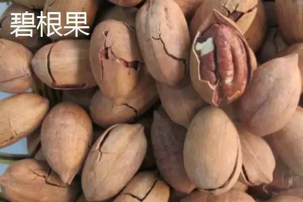 图片[4]-坚果的种类 ,常见的坚果包括哪些种类-会东网