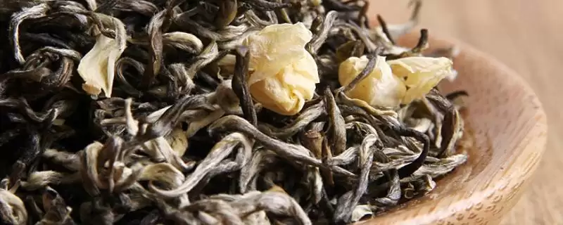 茉莉花茶的产地主要有哪些地方呢 ,茉莉花茶主要产地有福州、元江、横县等-会东网
