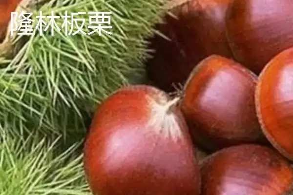 图片[13]-柳州市融水苗族自治县的特产 ,融水有哪些特色的特产种类？-会东网
