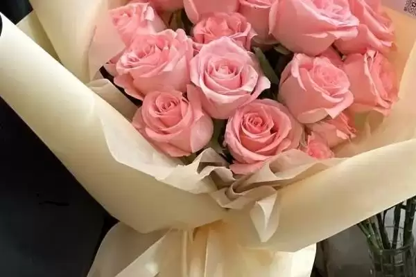 图片[8]-送医生的暖心花卉：百合、康乃馨、向日葵的美好寓意-会东网