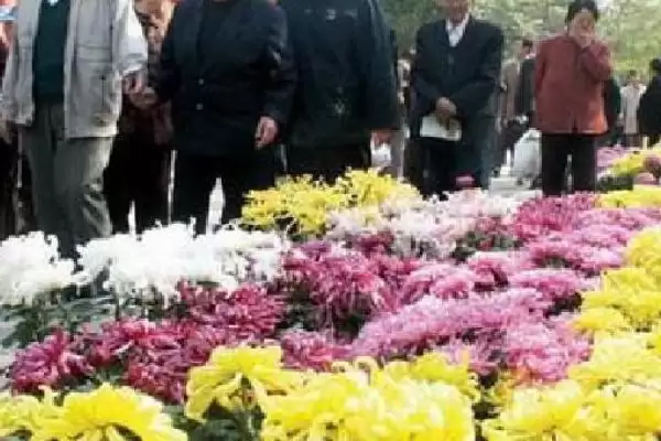 图片[3]-哪个节日的习俗里有插茱萸的行为呢,重阳节的习俗里有插茱萸也叫茱萸节-会东网