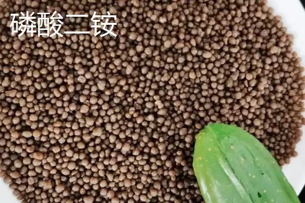 图片[3]-磷酸一铵和磷酸二铵的区别 ,二者氮磷比例和 pH 值有何差异？-会东网