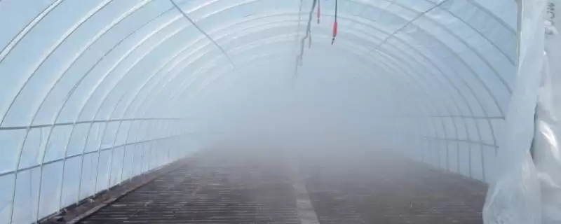 夏天高温时大棚有效降温的方法和要点？夏季大棚降温需掌握哪些关键技巧？-会东网