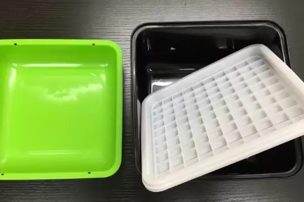 图片[2]-种植花生芽苗菜的方法和重点？种植花生芽苗菜要做好哪些细节？-会东网