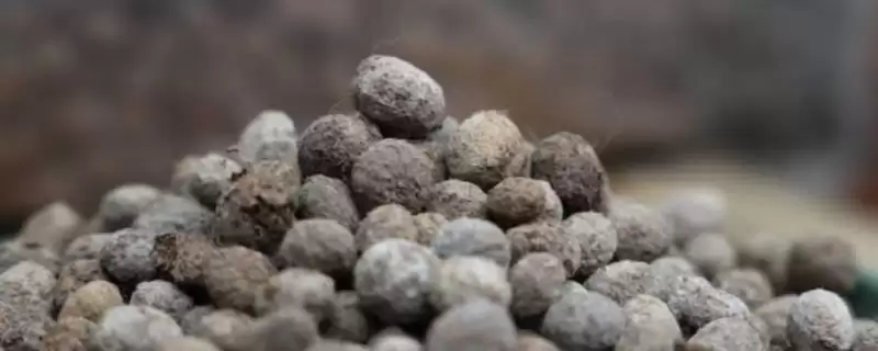 兔粪发酵几天腐熟?确定兔粪发酵腐熟时间要考虑哪些发酵条件和微生物因素?插图 兔粪发酵几天腐熟?确定兔粪发酵腐熟时间要考虑哪些发酵条件和微生物因素?插图