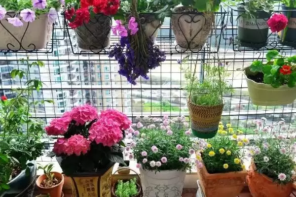 兔粪发酵几天腐熟?确定兔粪发酵腐熟时间要考虑哪些发酵条件和微生物因素?插图3 兔粪发酵几天腐熟?确定兔粪发酵腐熟时间要考虑哪些发酵条件和微生物因素?插图3