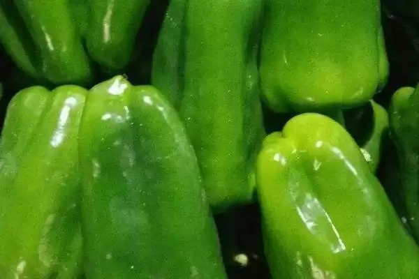 太空椒属于什么育种？了解太空椒育种方式要知晓哪些关键的育种原理和方法？插图1