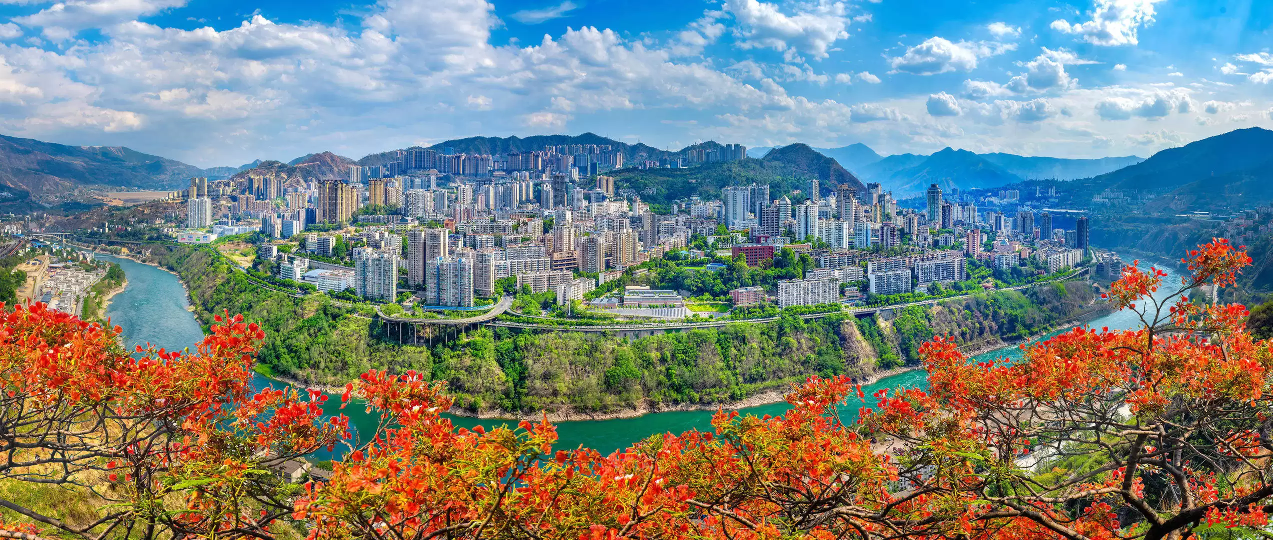 你是攀枝花 “土著” 还是 “攀几代”?插图6 你是攀枝花 “土著” 还是 “攀几代”?插图6