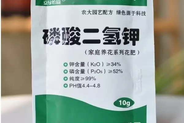 让绿萝的叶子变得又大又绿的方法?养护绿萝使叶子变大变绿要掌握哪些养护要点?插图2 让绿萝的叶子变得又大又绿的方法?养护绿萝使叶子变大变绿要掌握哪些养护要点?插图2