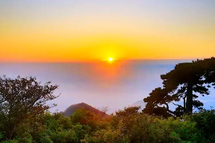 四川青城山 — 都江堰旅游景区在哪？究竟属于几级景区？插图5