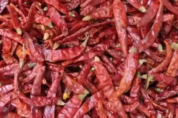 认识印度椒分类的方法和重点?认识印度椒分类要做好哪些细节?插图2 认识印度椒分类的方法和重点?认识印度椒分类要做好哪些细节?插图2