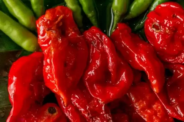 魔鬼辣椒的辣度具体是多少呢 ,魔鬼辣椒辣度超过 100 万 “史高维尔”插图2 魔鬼辣椒的辣度具体是多少呢 ,魔鬼辣椒辣度超过 100 万 “史高维尔”插图2