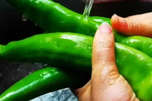 青椒和尖椒的区别对比:外观和口感的不同风味插图3 青椒和尖椒的区别对比:外观和口感的不同风味插图3