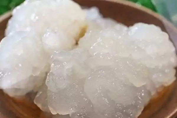 什么是雪蛤?了解雪蛤要知晓哪些关键的生物特性和药用价值?插图3 什么是雪蛤?了解雪蛤要知晓哪些关键的生物特性和药用价值?插图3