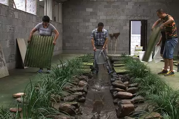 石蛙苗的养殖方法?养殖石蛙苗要掌握哪些关键的饲养管理方法?插图5 石蛙苗的养殖方法?养殖石蛙苗要掌握哪些关键的饲养管理方法?插图5