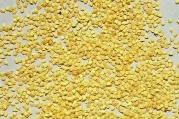 线椒种植的方法和要点？种植线椒要掌握哪些关键技术步骤？插图2