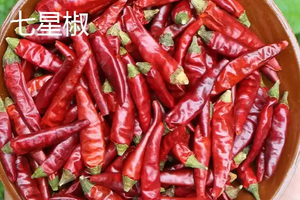 七星椒和朝天椒的区别剖析:品种和辣度不同的独特风味插图1 七星椒和朝天椒的区别剖析:品种和辣度不同的独特风味插图1