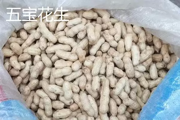 四川省自贡市的特产?了解四川省自贡市特产要掌握哪些具有代表性的物产?插图5 四川省自贡市的特产?了解四川省自贡市特产要掌握哪些具有代表性的物产?插图5