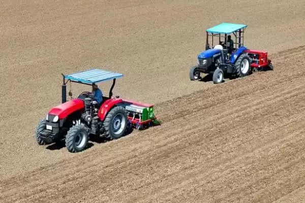 小麦选种的技巧和要点？小麦选种需掌握哪些关键方法？插图2