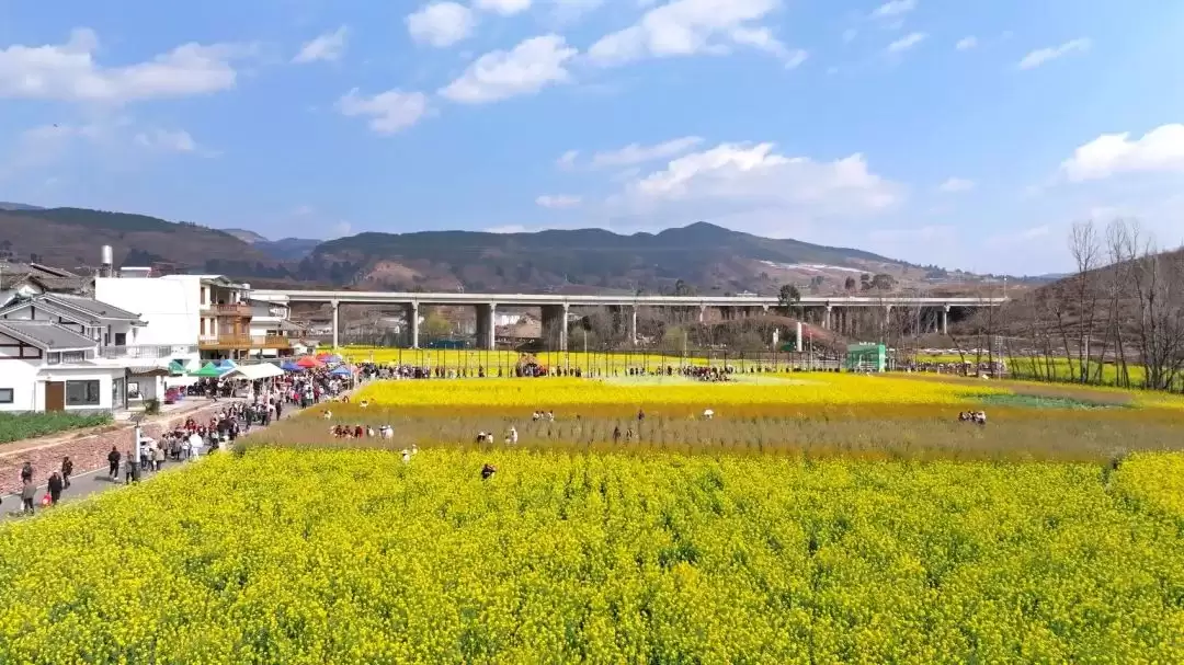 “陌上姜州·花漾田园” 会东县春耕文化系列活动启幕插图 “陌上姜州·花漾田园” 会东县春耕文化系列活动启幕插图