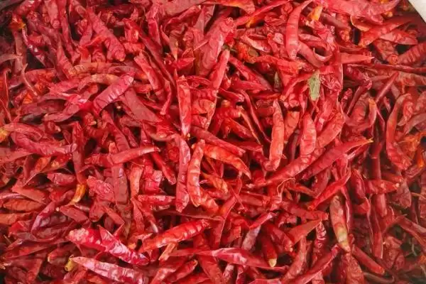 认识印度椒分类的方法和重点?认识印度椒分类要做好哪些细节?插图3 认识印度椒分类的方法和重点?认识印度椒分类要做好哪些细节?插图3