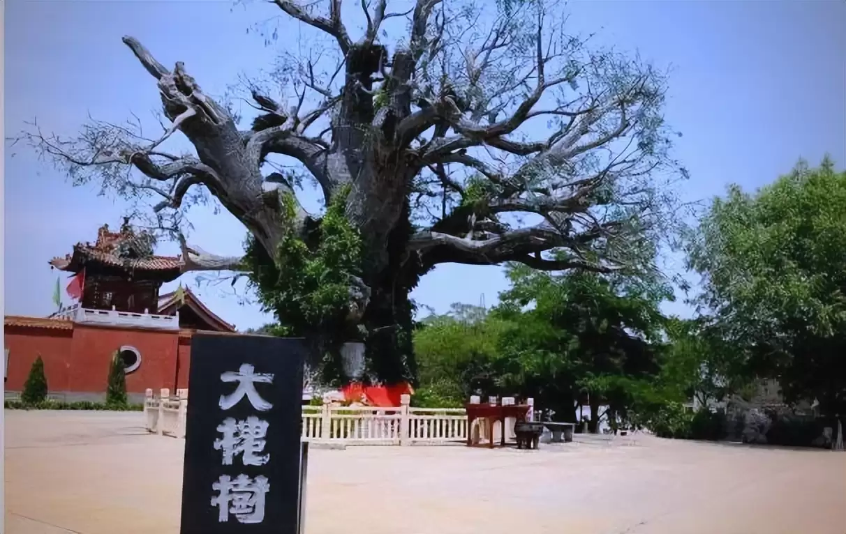 600 年前那场大迁徙,2 亿人至今不知自己身世!插图6 600 年前那场大迁徙,2 亿人至今不知自己身世!插图6