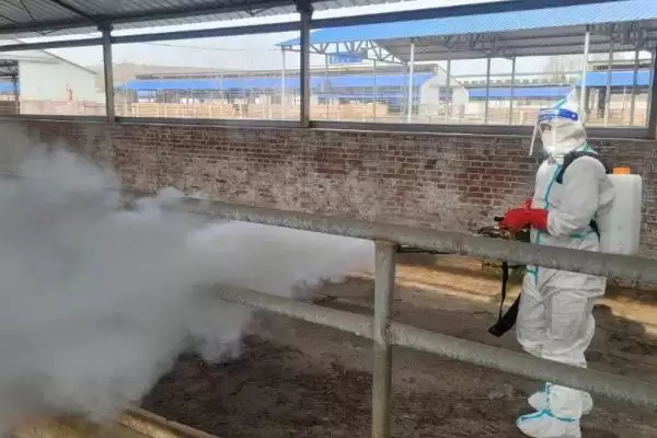 牦牛的养殖技术有哪些要点 ,牦牛养殖每年需严格按流程防疫插图4 牦牛的养殖技术有哪些要点 ,牦牛养殖每年需严格按流程防疫插图4