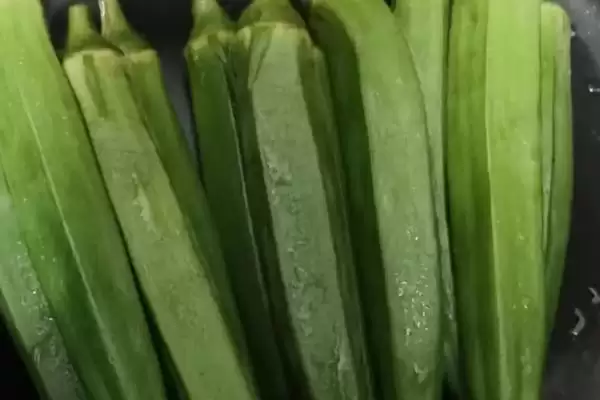 夏日蔬菜种植优选：豇豆、南瓜、丝瓜的清凉栽培法插图6