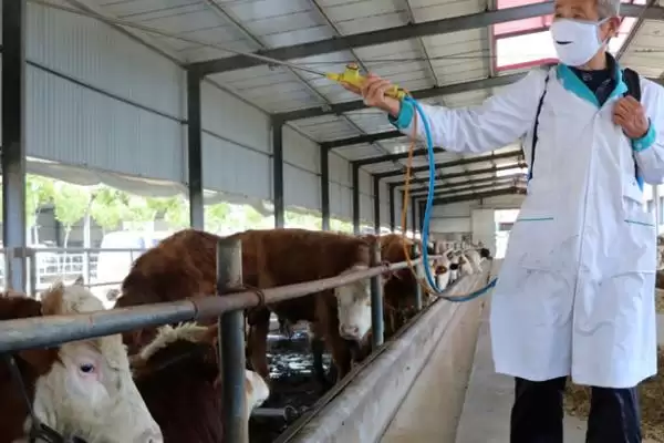 建造简易牛棚的方法 ,怎样建造简易的牛棚呢插图5 建造简易牛棚的方法 ,怎样建造简易的牛棚呢插图5