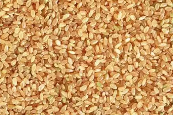 小麦选种的技巧和要点？小麦选种需掌握哪些关键方法？插图1